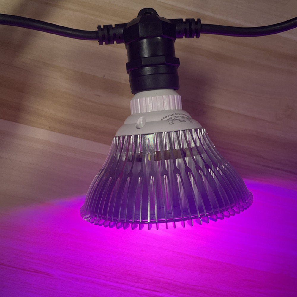 سلسلة إضاءة LED بطول 10 أمتار، - مراجعة Outdoor Lighting Effects وسعره
